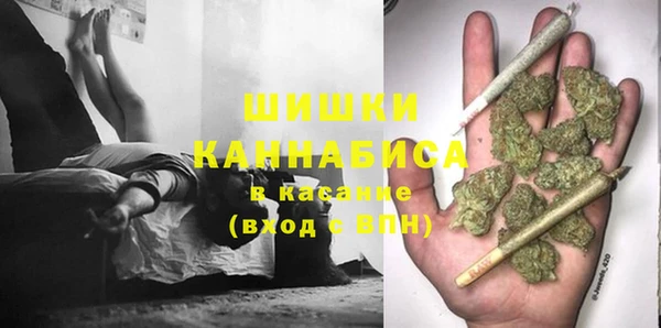 гашик Алексеевка