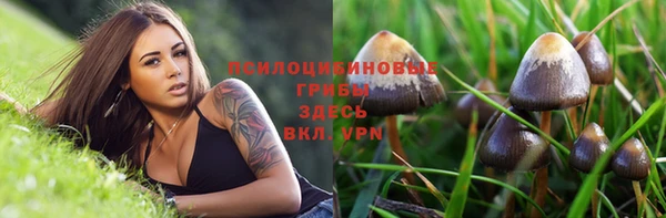 гашик Алексеевка