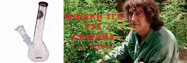 гашик Алексеевка