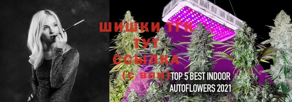 гашик Алексеевка
